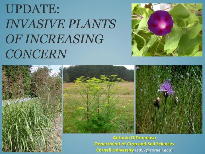 update invasive plants of increasing concern