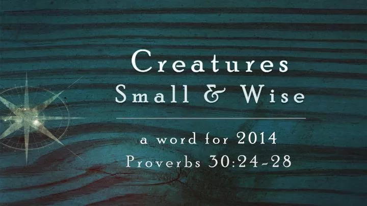creatures small wise