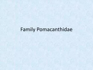 Family Pomacanthidae