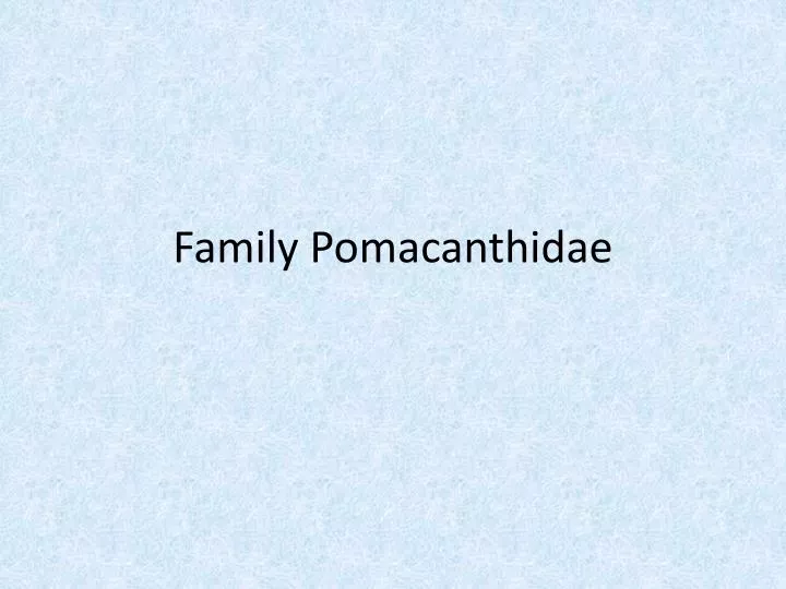 family pomacanthidae