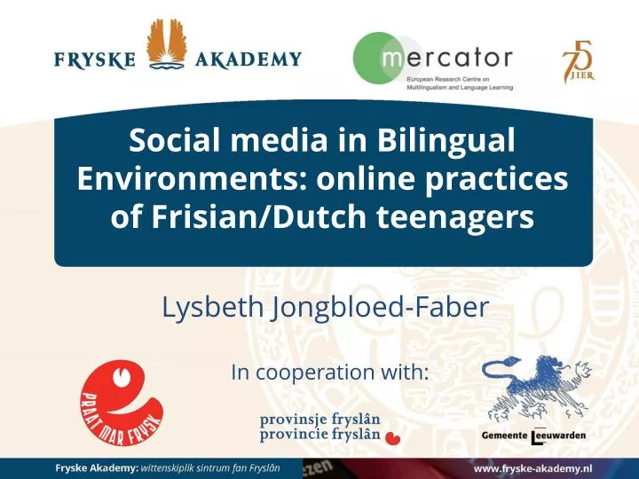 social media in bilingual environments online practices of frisian dutch teenagers