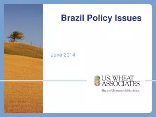 Brazil Policy Issues