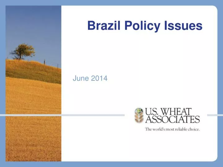 brazil policy issues
