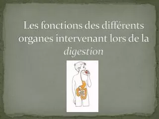 les fonctions des diff rents organes intervenant lors de la digestion