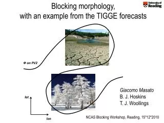 Blocking morphology, with an example from the TIGGE forecasts