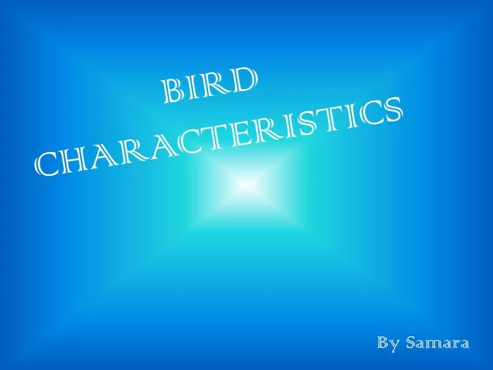 bird characteristics