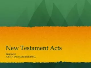 New Testament Acts