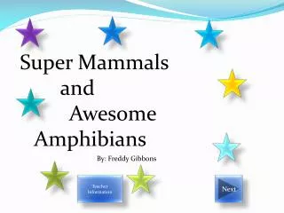 Super Mammals 	 and 		 Awesome 						Amphibians