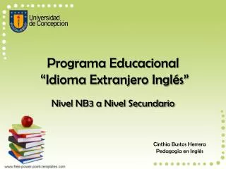 programa educacional idioma extranjero ingl s