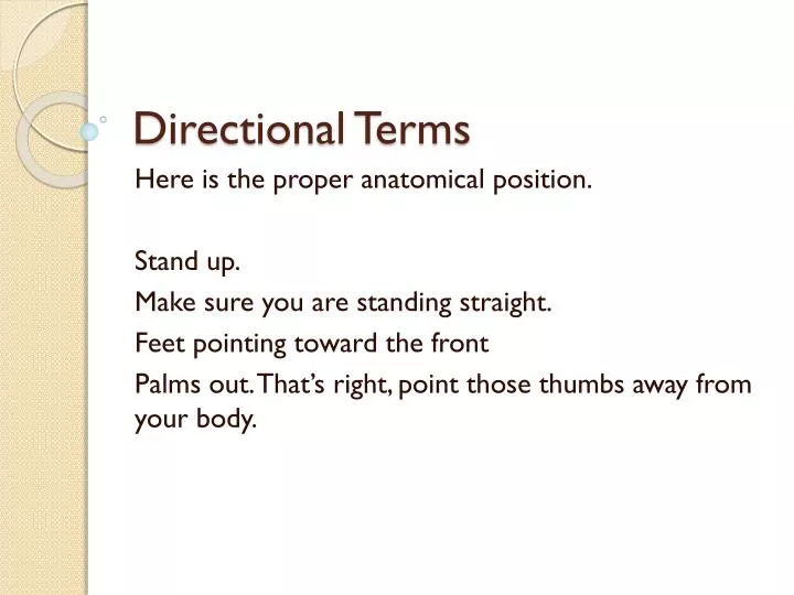 directional terms
