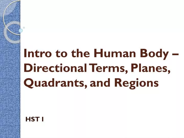 intro to the human body directional terms planes quadrants and regions
