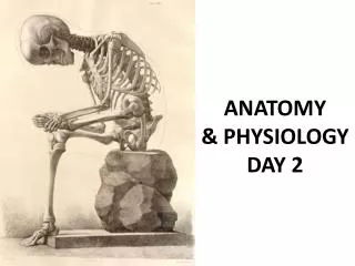 ANATOMY &amp; PHYSIOLOGY DAY 2