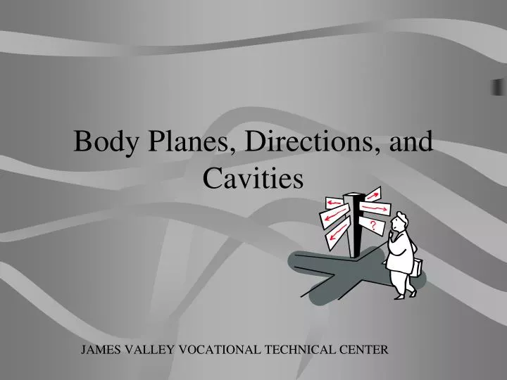 body planes directions and cavities