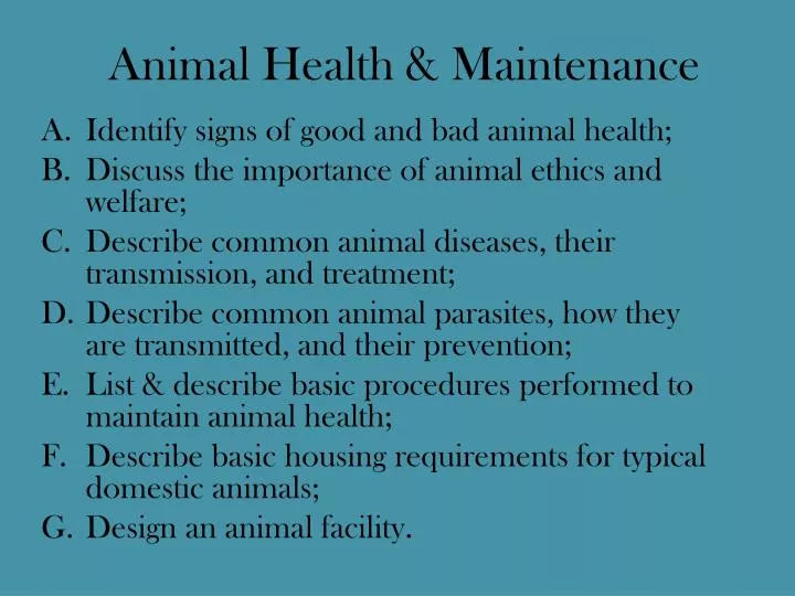 animal health maintenance