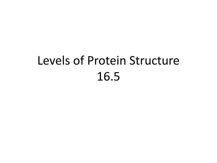 levels of protein structure 16 5