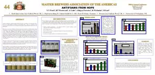 MASTER BREWERS ASSOCIATION OF THE AMERICAS