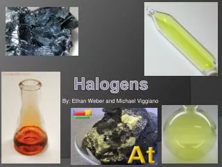 Halogens