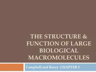 The structure &amp; function of large biological macromolecules
