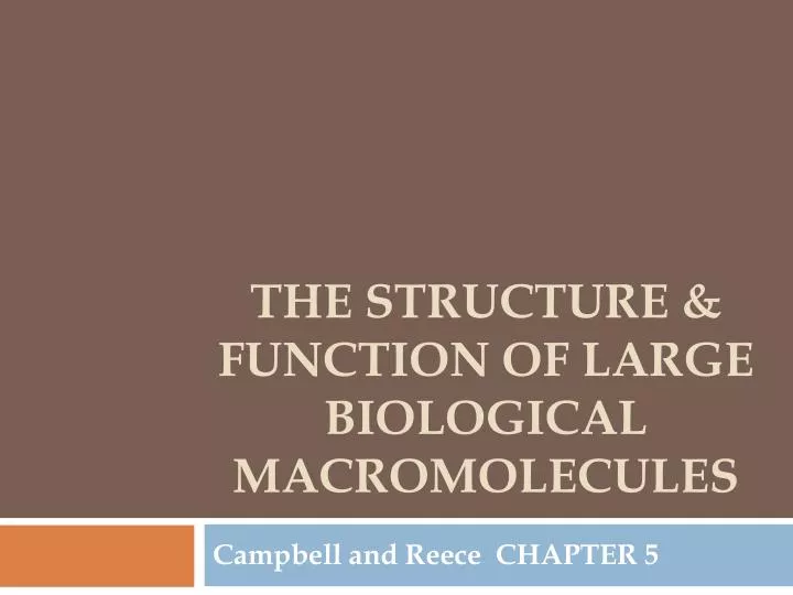 the structure function of large biological macromolecules