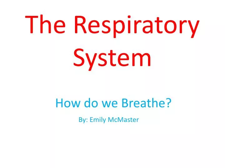 the respiratory system