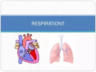 RESPIRATION!!