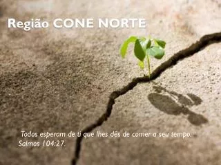 regi o cone norte