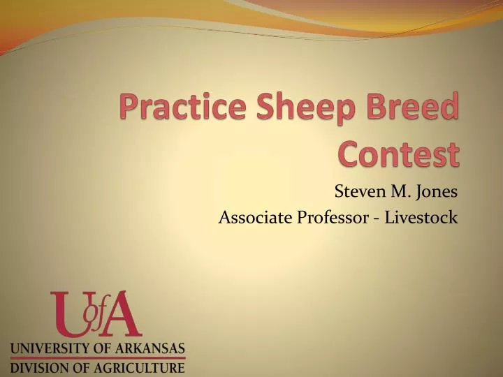 practice sheep breed contest