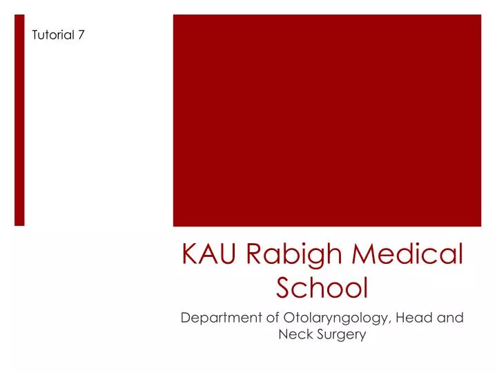 kau rabigh medical school