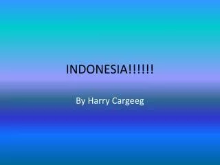 indonesia