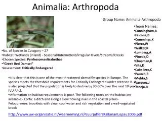 Animalia : Arthropoda