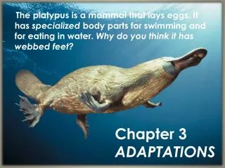 Chapter 3 ADAPTATIONS
