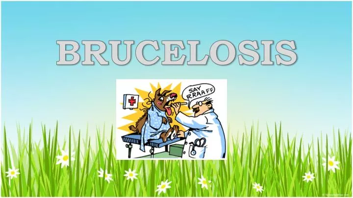 brucelosis