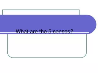 What are the 5 senses?