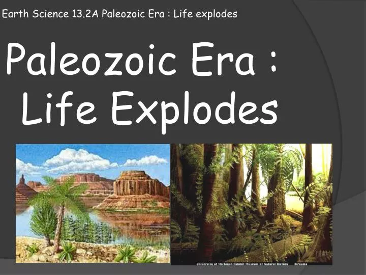 earth science 13 2a paleozoic era life explodes