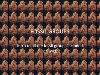 FOSSIL GROUPS