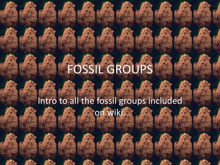 fossil groups