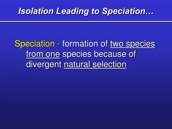 isolation leading to speciation