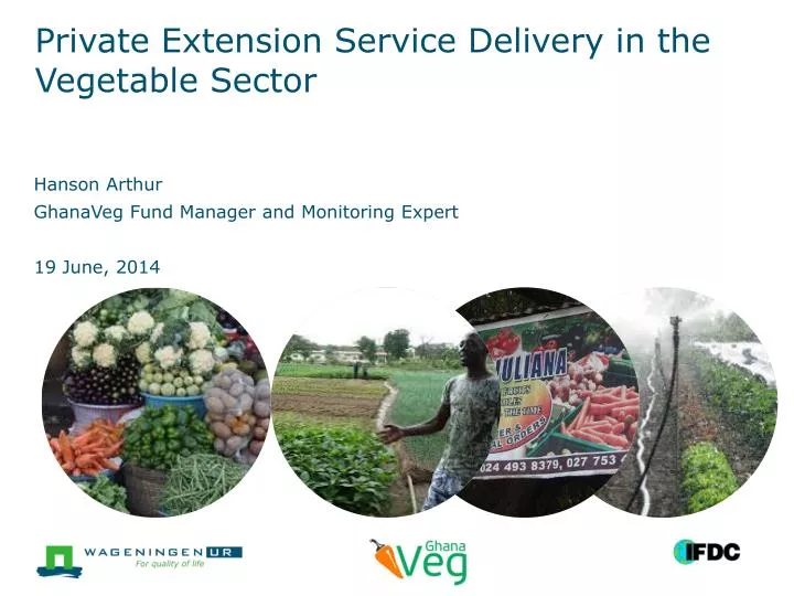 private extension service delivery in the vegetable sector