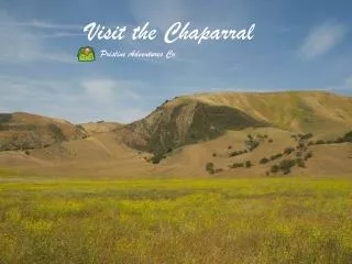 Visit the Chaparral
