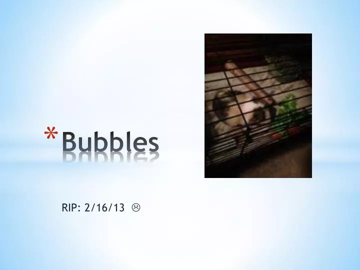 bubbles