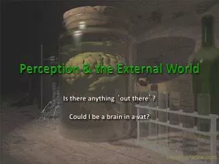Perception &amp; the External World