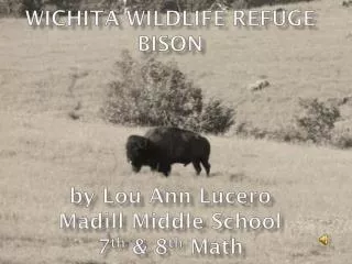 Wichita Wildlife Refuge Bison by Lou Ann Lucero Madill Middle School 7 th &amp; 8 th Math