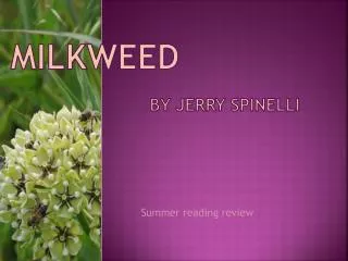 Milkweed By Jerry Spinelli