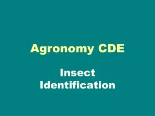 Agronomy CDE