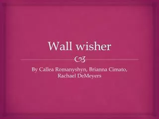 Wall wisher