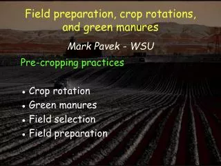 Field preparation, crop r otations , and green manures Mark Pavek - WSU