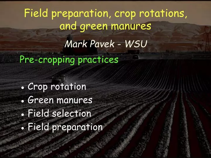 field preparation crop r otations and green manures mark pavek wsu
