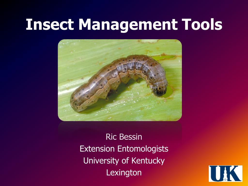 Insects Control Tools PPT - Integrated Insect Management Tools for Kentucky Crops PowerPoint ...