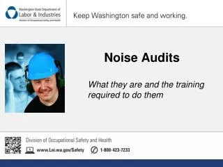 Noise Audits