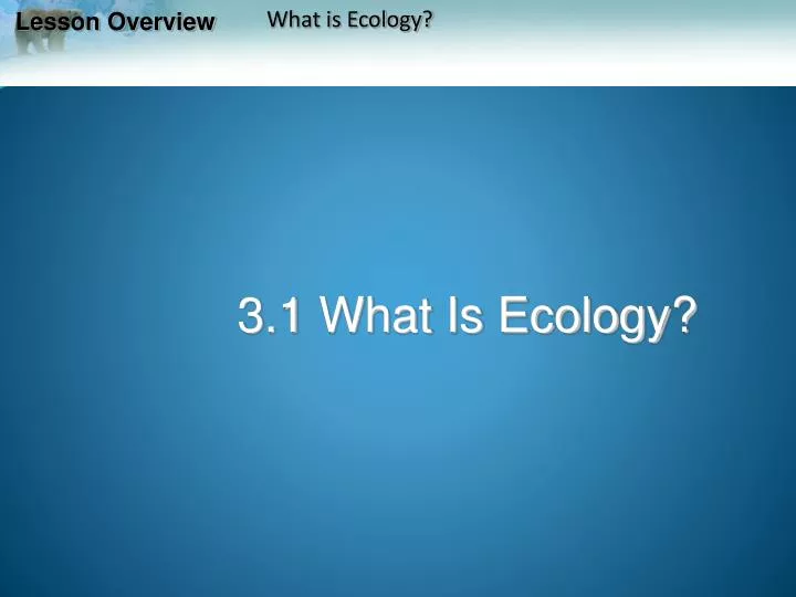 3 1 what is ecology
